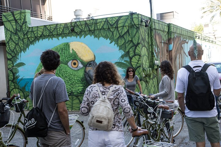 St Pete Art and Mural Biking Tour